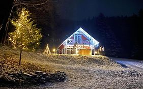 Forest House